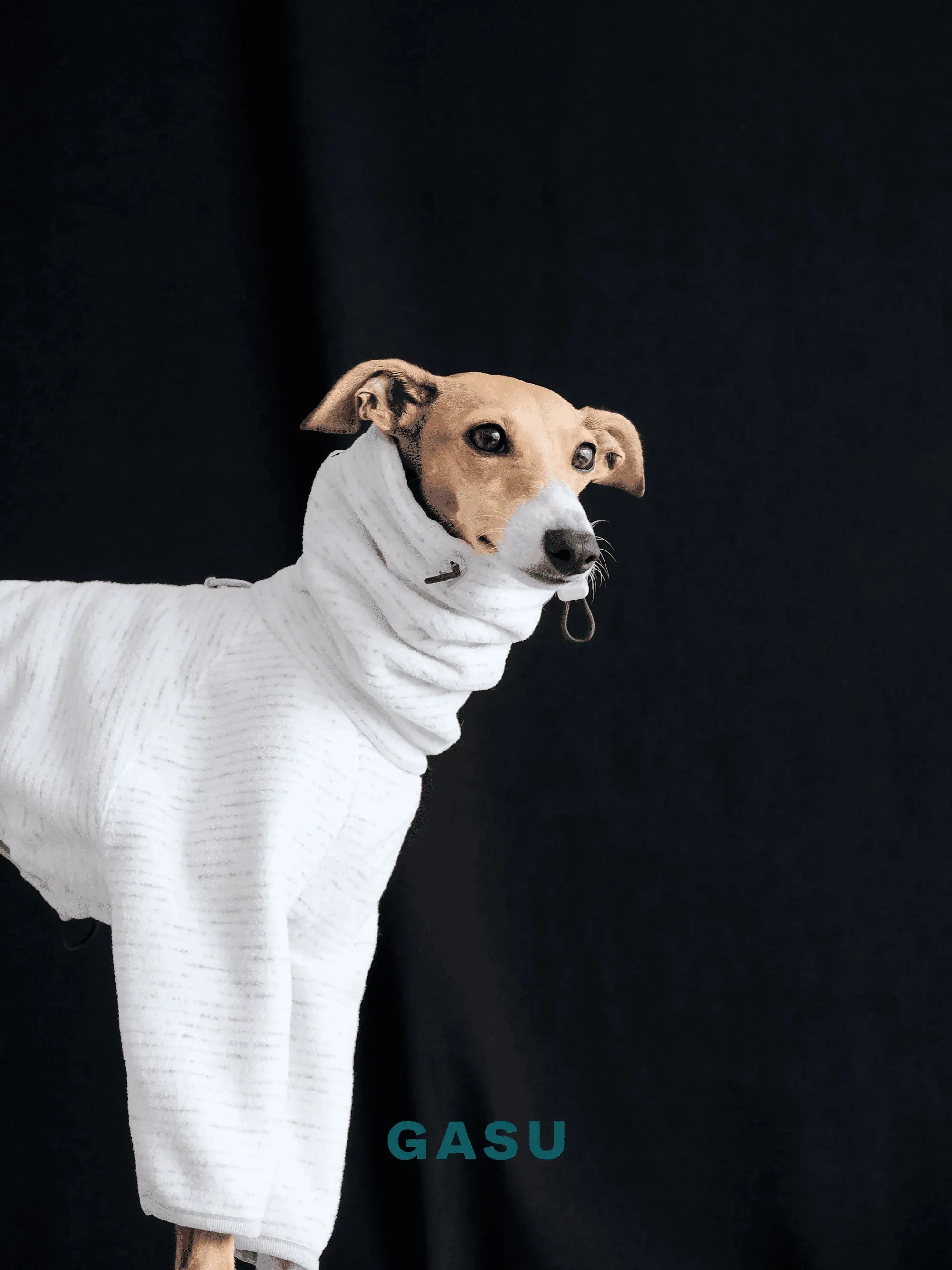 Adjustable 4-Leg Anti-static Fleece Dog Jumpsuit | White