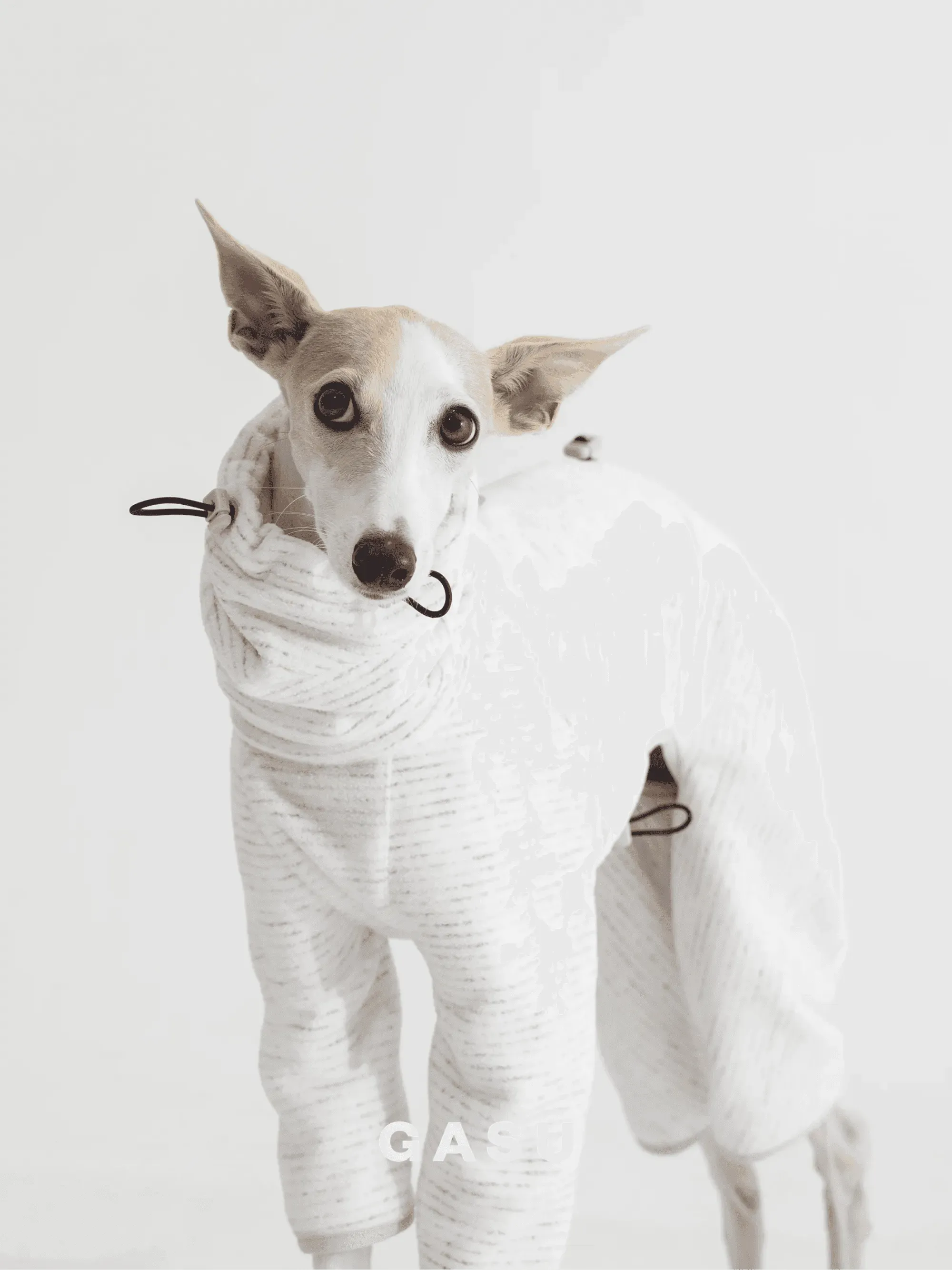 Adjustable 4-Leg Anti-static Fleece Dog Jumpsuit | White