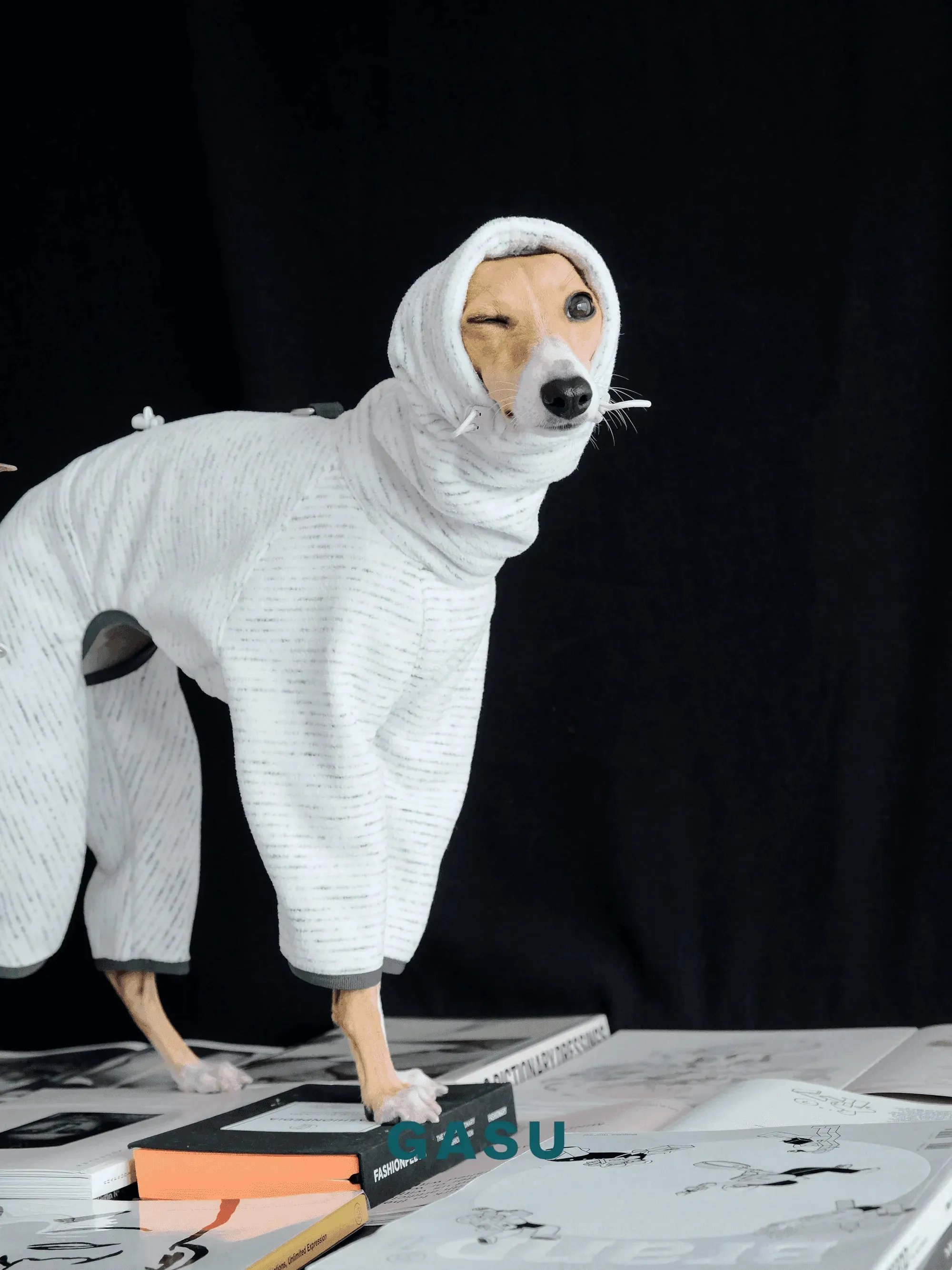 Adjustable 4-Leg Anti-static Fleece Dog Jumpsuit | White