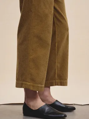 Corduroy trousers with pleats